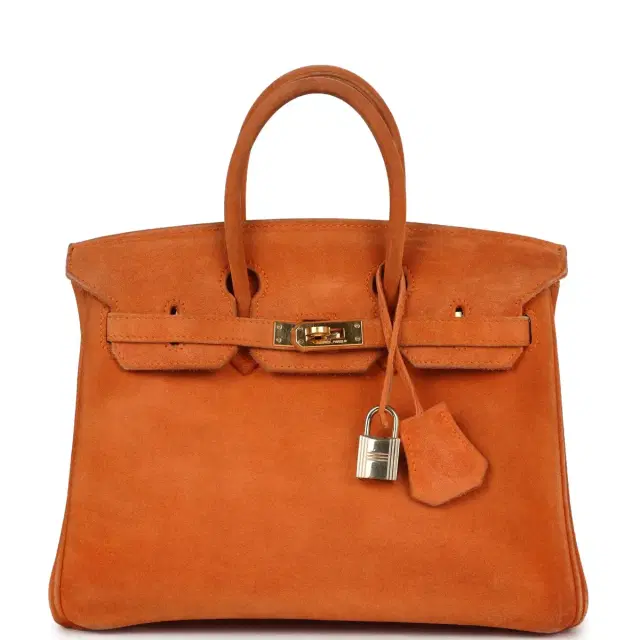 hermes Vintage Hermes Birkin 25 Orange Doblis Gold Hardware