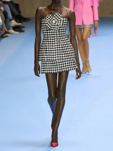 Carolina Herrera Houndstooth Tweed Mini Skirt | Thumbnail 5 Carolina Herrera Houndstooth Tweed Mini Skirt | Thumbnail 5