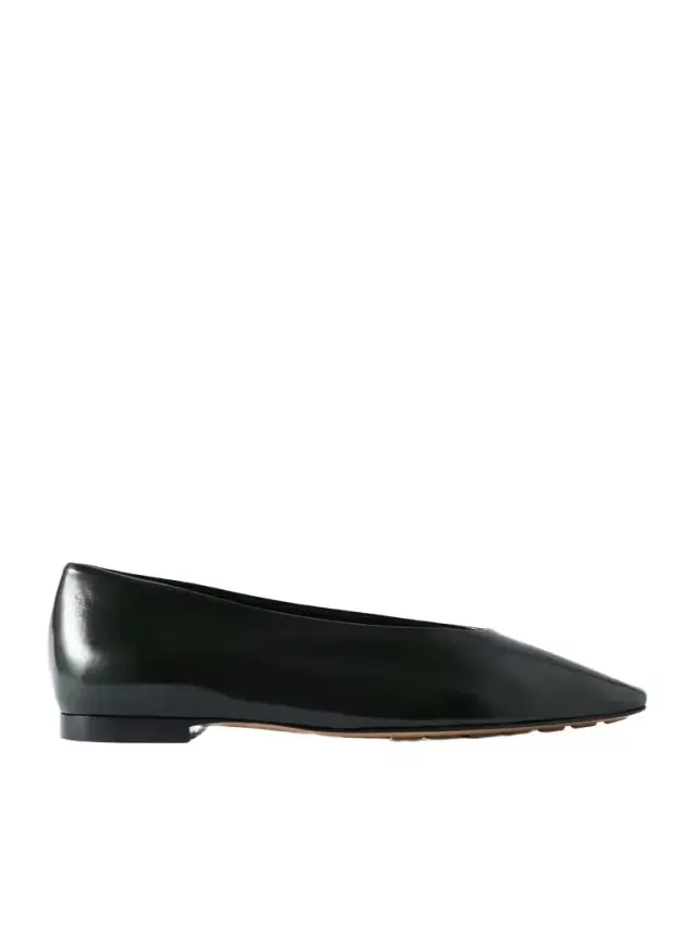Sofia Glossed-leather Point-toe Ballet Flats
