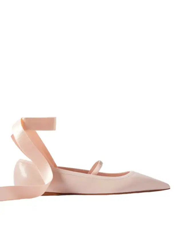 Carice Satin-trimmed Leather Ballet Flats