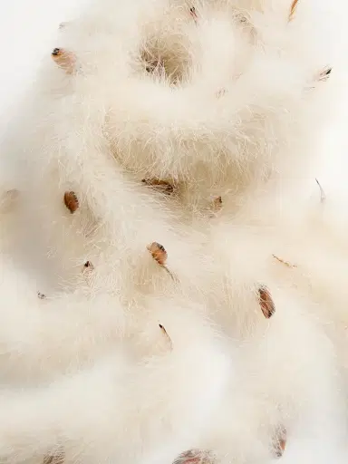 Valentino Garavani Women's Feathers Scarf | Thumbnail 4 Valentino Garavani Women's Feathers Scarf | Thumbnail 4