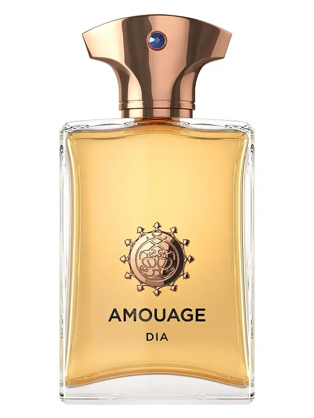 Men's Dia Man Fragrance 3.4 oz