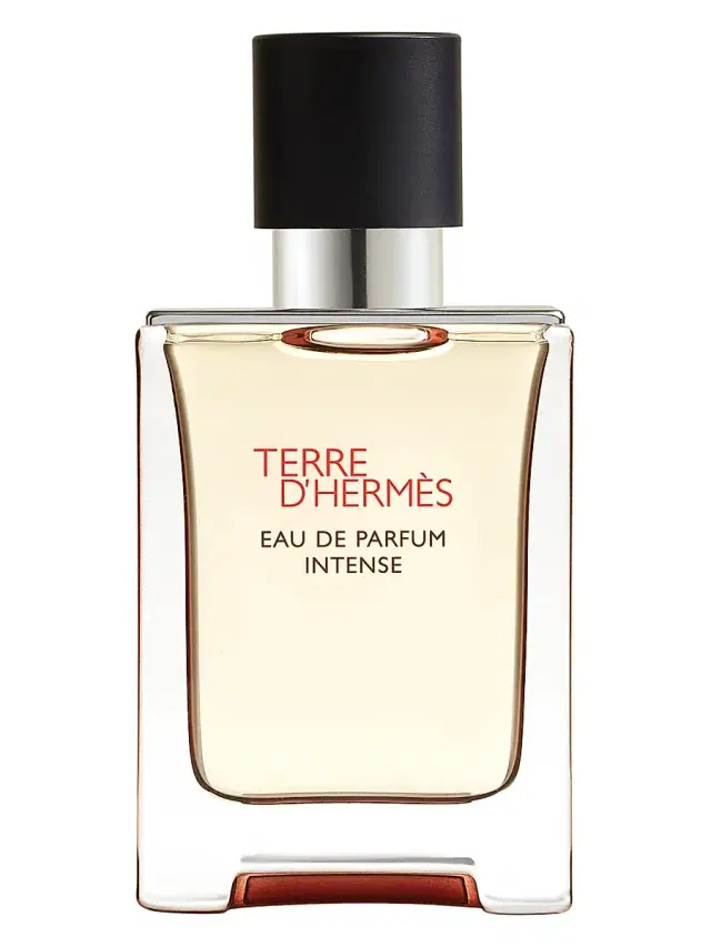 HERMÈS Men's Terre d'Hermès Eau de Parfum Intense 3.3 oz