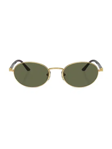 PERSOL Men's Ida 55MM Oval Sunglasses - Havana Gold Green | Thumbnail 2
