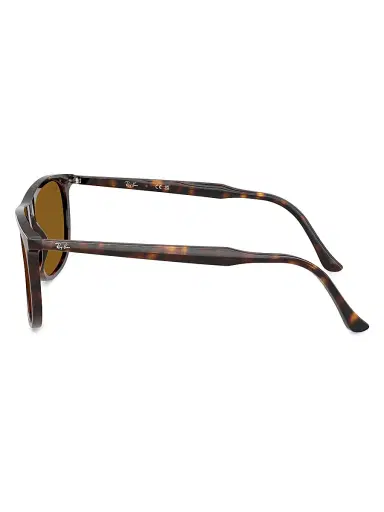 Ray-Ban Men's RB2216F 58MM Rectangular Sunglasses - Havana Brown | Thumbnail 5 Ray-Ban Men's RB2216F 58MM Rectangular Sunglasses - Havana Brown | Thumbnail 5