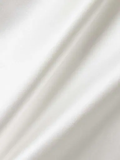 Vivienne Westwood Minerva Draped Silk-satin Gown | Thumbnail 4