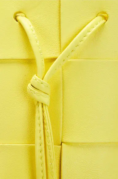 Bottega Veneta Mini Bucket Crossbody Bag | Thumbnail 8