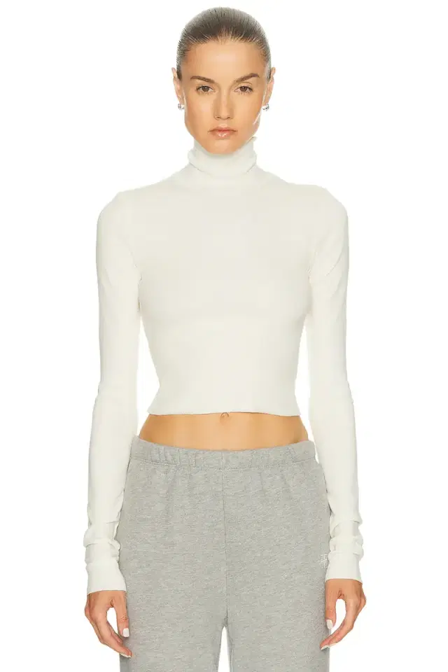 Eterne Cropped Fitted Turtleneck Top