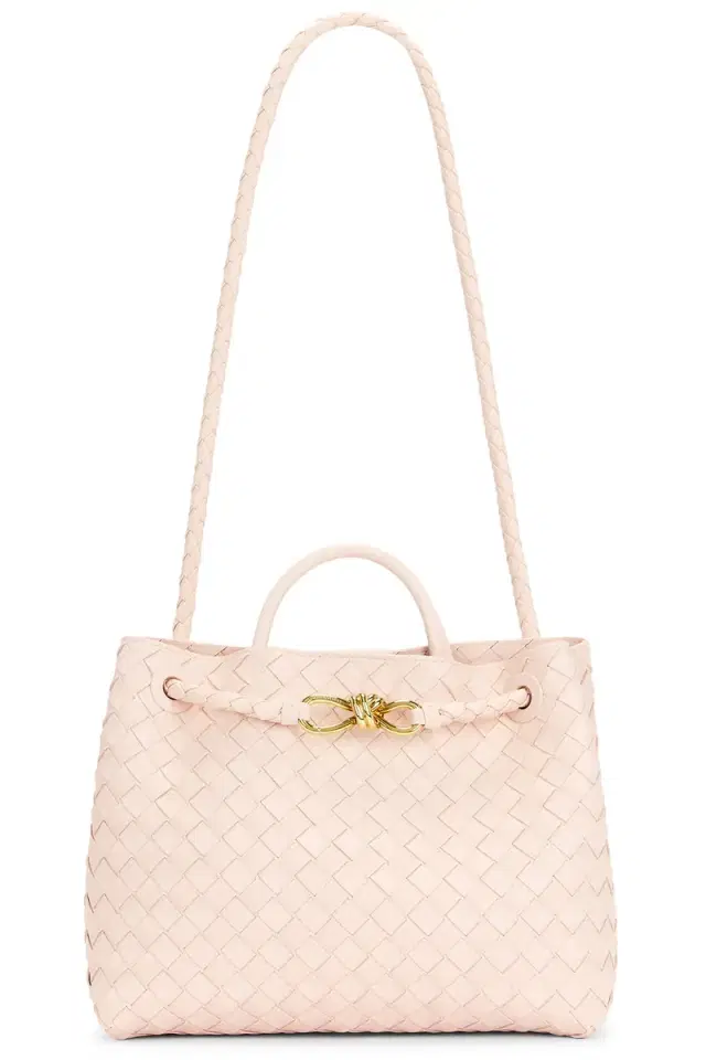 Bottega Veneta Medium Andiamo Bag