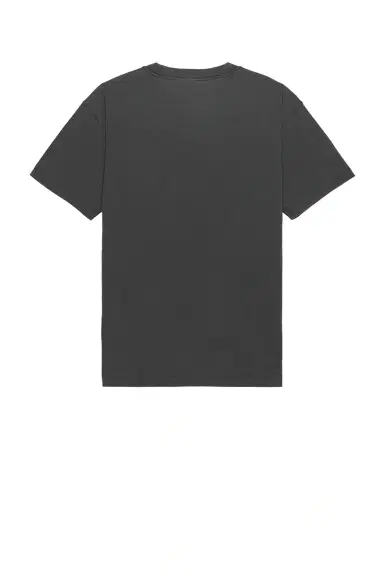 Carhartt WIP Short Sleeve Nelson T-Shirt | Thumbnail 2
