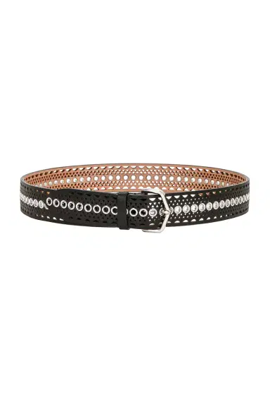 Alaïa Vienne Leather Belt | Thumbnail 1 Alaïa Vienne Leather Belt | Thumbnail 1