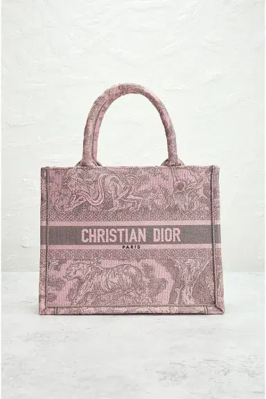 Dior Toile De Jouy Embroidery Book Tote Bag | Thumbnail 4