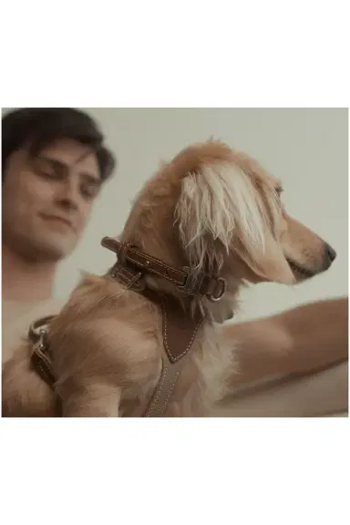 Pagerie The Petite Medium Harness | Thumbnail 5 Pagerie The Petite Medium Harness | Thumbnail 5