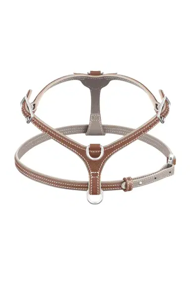 Pagerie The Petite Medium Harness | Thumbnail 1 Pagerie The Petite Medium Harness | Thumbnail 1