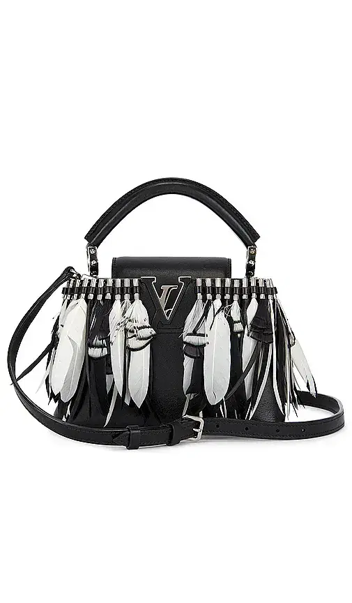 louis vuitton Louis Vuitton Feather Capucines BB Handbag