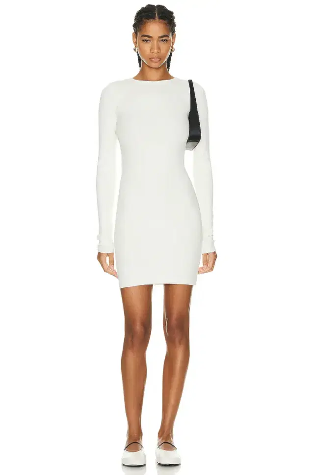 Eterne Long Sleeve Crewneck Mini Dress