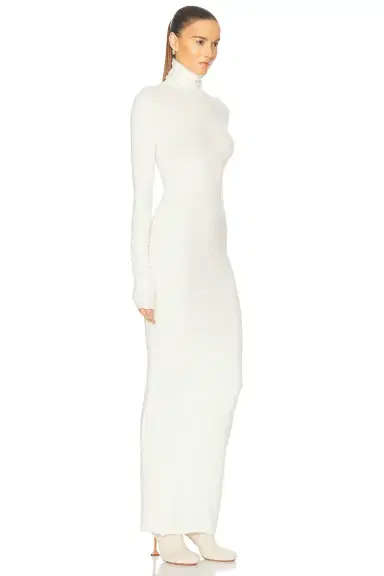 Eterne Long Sleeve Turtleneck Maxi Dress | Thumbnail 2