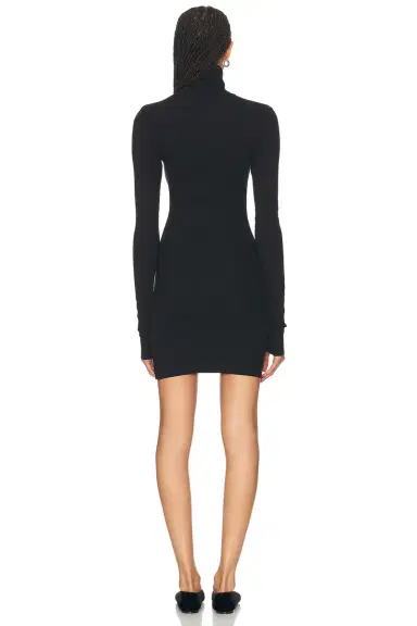 ÉTERNE Long Sleeve Turtleneck Mini Dress | Thumbnail 3