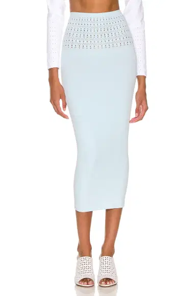 Alaïa Tube Skirt | Thumbnail 1