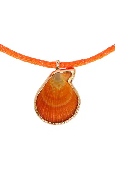 DEZSO BY SARA BELTRÁN 18k Gold Clam Necklace | Thumbnail 2 DEZSO BY SARA BELTRÁN 18k Gold Clam Necklace | Thumbnail 2