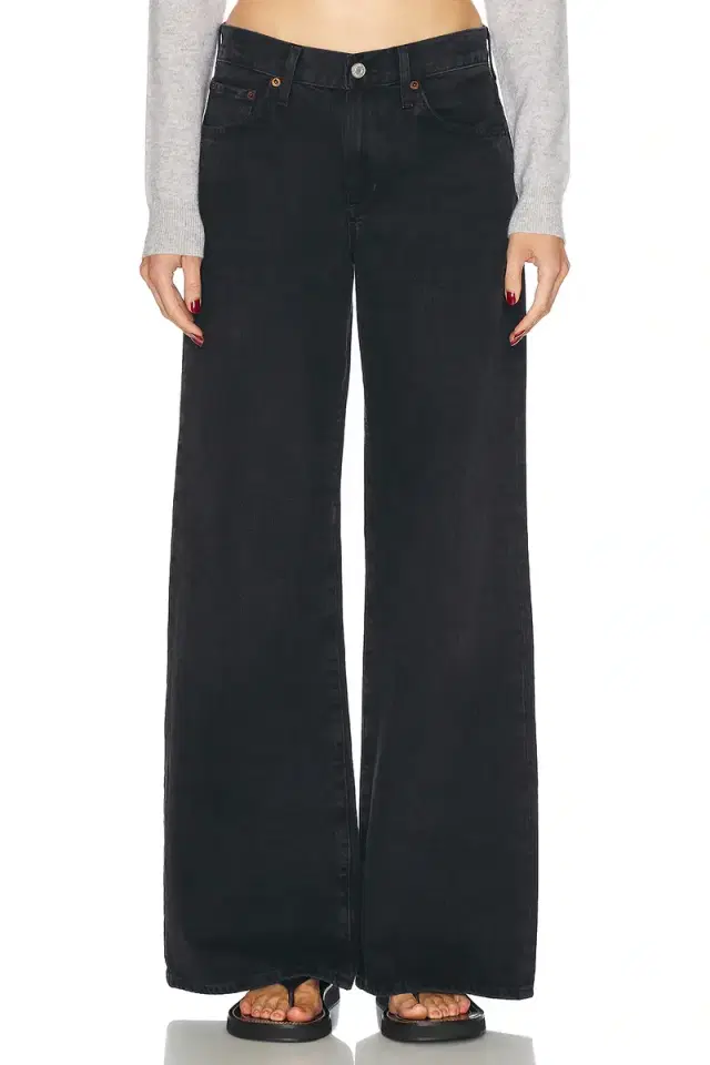 AGOLDE Clara Low Rise Baggy Flare Jeans