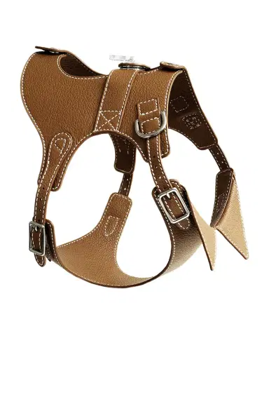 Pagerie The Colombo Harness | Thumbnail 2 Pagerie The Colombo Harness | Thumbnail 2