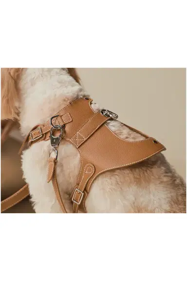 Pagerie The Colombo Harness | Thumbnail 4 Pagerie The Colombo Harness | Thumbnail 4