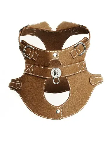 Pagerie The Colombo Harness | Thumbnail 1 Pagerie The Colombo Harness | Thumbnail 1