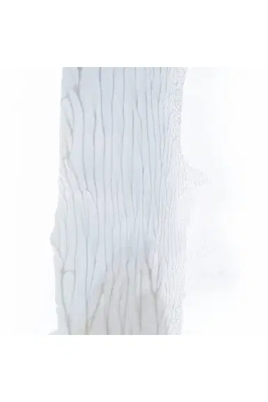 Gezeiten Intensive Anti-Aging Day Face Cream | Thumbnail 4 Gezeiten Intensive Anti-Aging Day Face Cream | Thumbnail 4