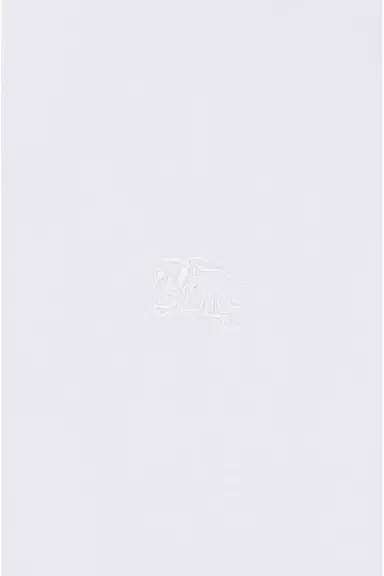 Burberry Sherfield Shirt | Thumbnail 3 Burberry Sherfield Shirt | Thumbnail 3
