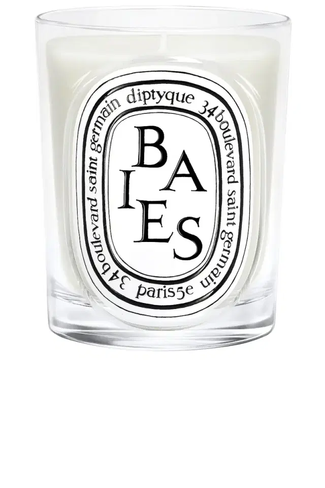 Diptyque Baies Classic Candle