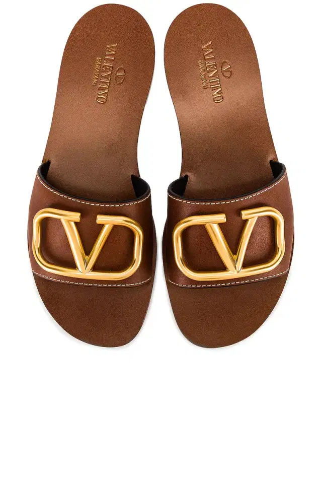 V Logo Slides