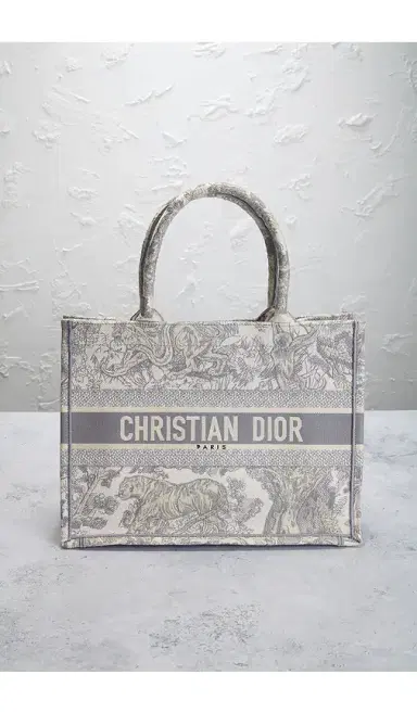 Dior Book Tote Bag | Thumbnail 2