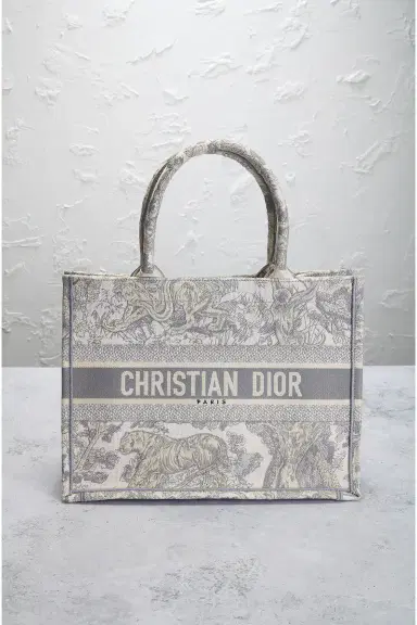 Dior Book Tote Bag | Thumbnail 4