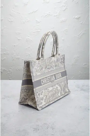 Dior Book Tote Bag | Thumbnail 6