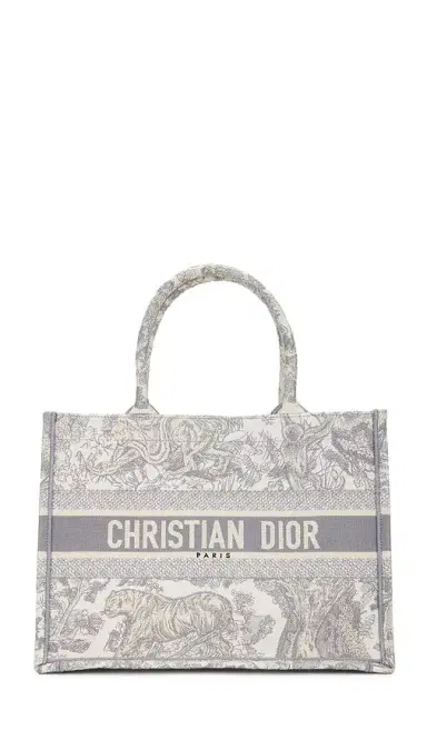 Dior Book Tote Bag | Thumbnail 1