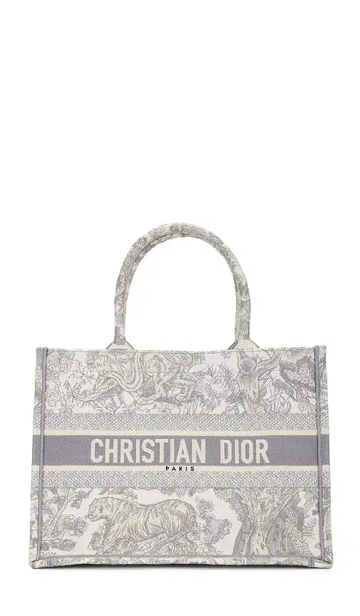 FWRD Renew Dior Book Tote Bag