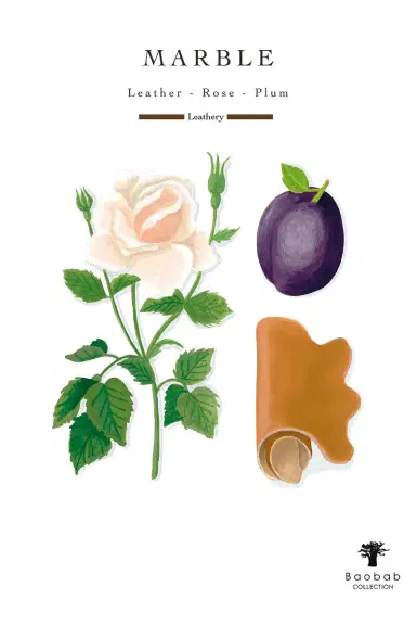 Baobab Collection Stones Signature Candle | Thumbnail 2