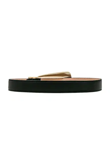 Khaite Lucca Gold Buckle 30mm Belt | Thumbnail 2