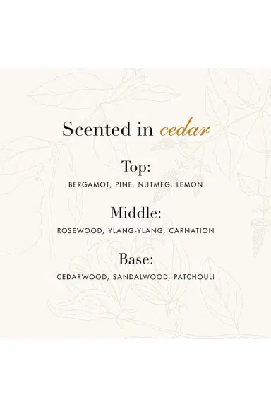 THE LAUNDRESS Wool And Cashmere Fabric Spray | Thumbnail 6 THE LAUNDRESS Wool And Cashmere Fabric Spray | Thumbnail 6