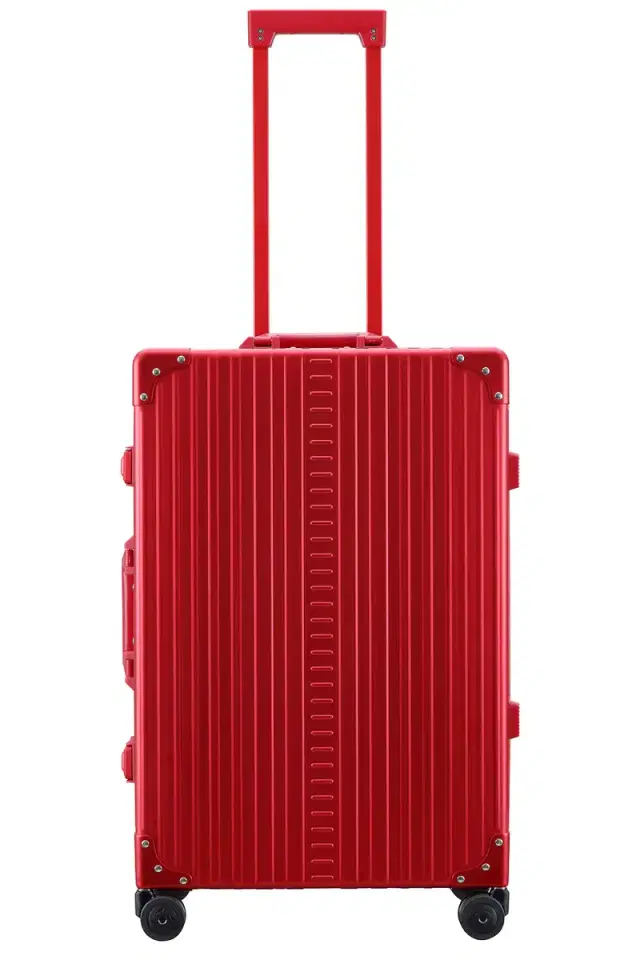 Aleon Traveler Checked 26 Suitcase