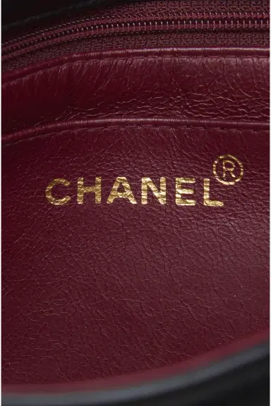 Chanel Chanel Lambskin Mademoiselle Flap Bag | Thumbnail 5 Chanel Chanel Lambskin Mademoiselle Flap Bag | Thumbnail 5