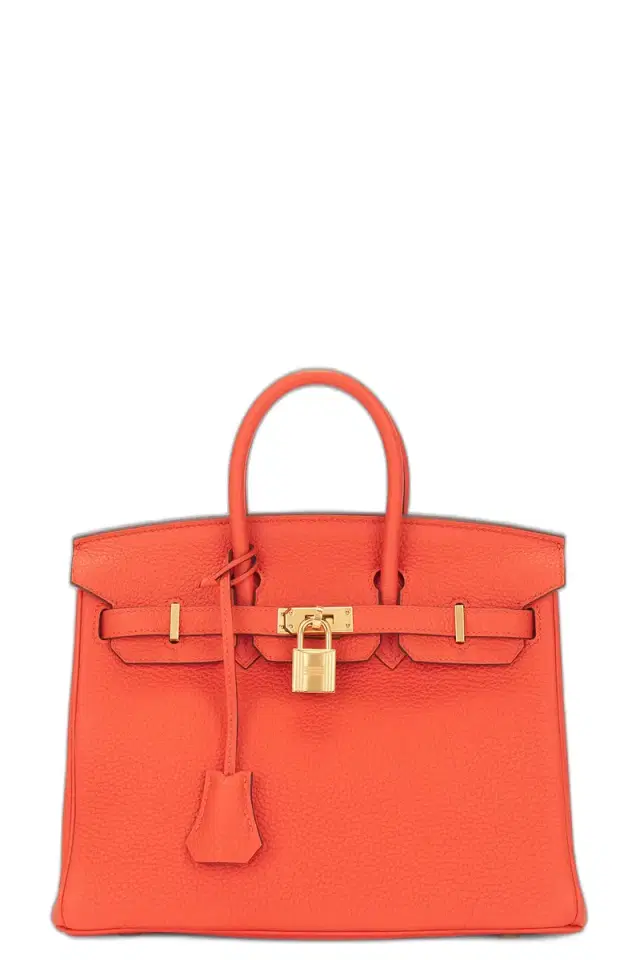 Hermes Togo Birkin 25 Handbag