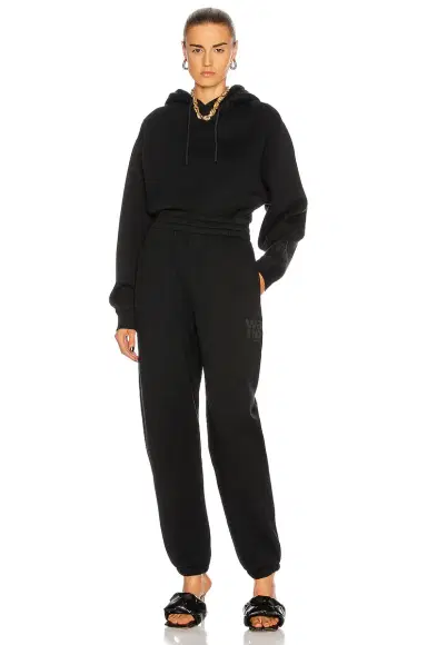 Alexander Wang Foundation Terry Classic Sweatpant | Thumbnail 5 Alexander Wang Foundation Terry Classic Sweatpant | Thumbnail 5