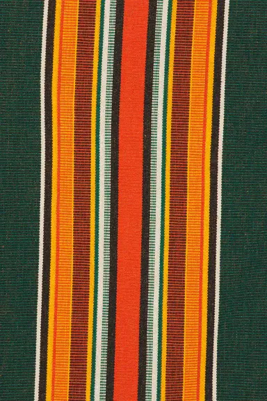 BODE Parakeet Stripe Craft Jacket | Thumbnail 5