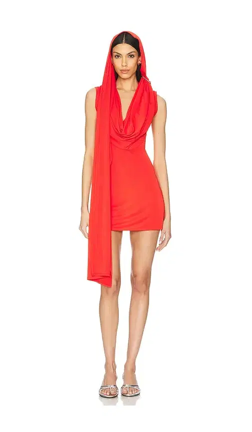 Sid Neigum Cape Cowl Mini Dress