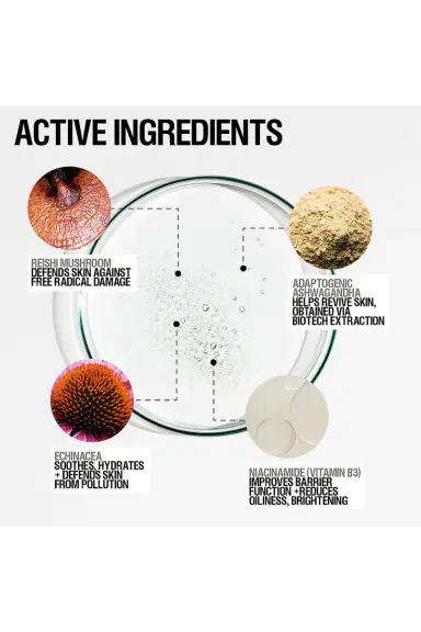 Grown Alchemist Skin Renewal Toner | Thumbnail 4 Grown Alchemist Skin Renewal Toner | Thumbnail 4