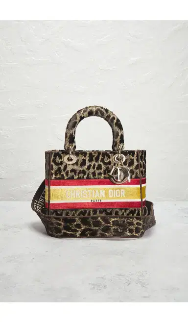 Dior Leopard Lady D-Lite Handbag | Thumbnail 2