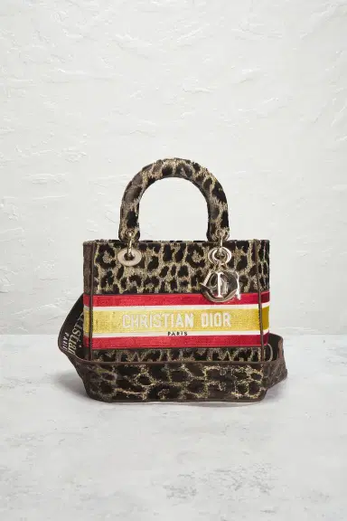 Dior Leopard Lady D-Lite Handbag | Thumbnail 4