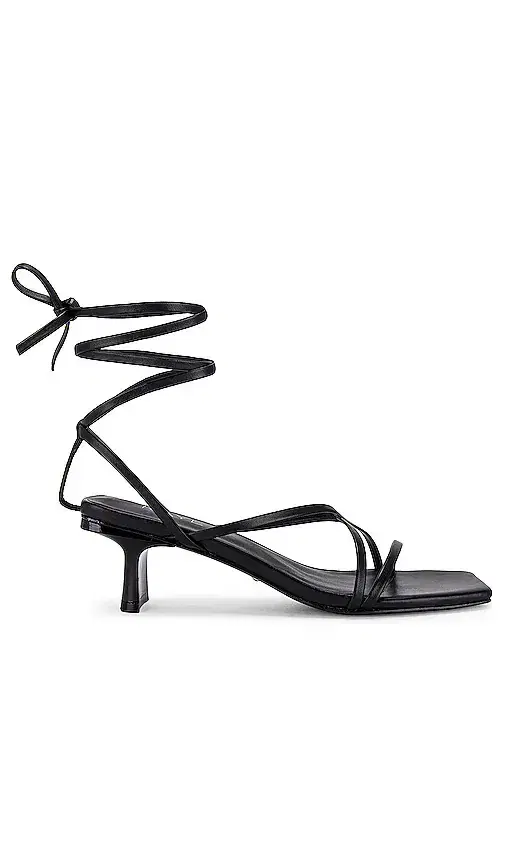 Delaney Heel